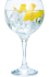 Gin Tonic
