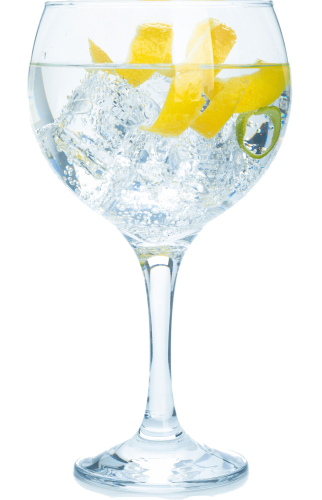 gin-tonic