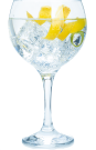 gin-tonic